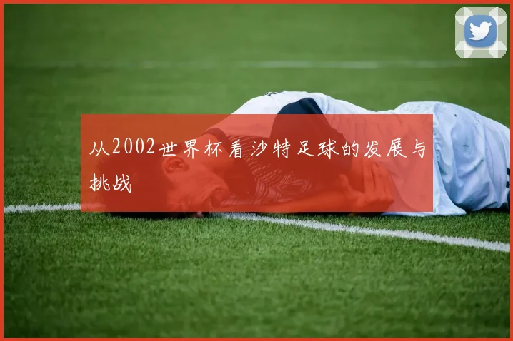 从2002世界杯看沙特足球的发展与挑战