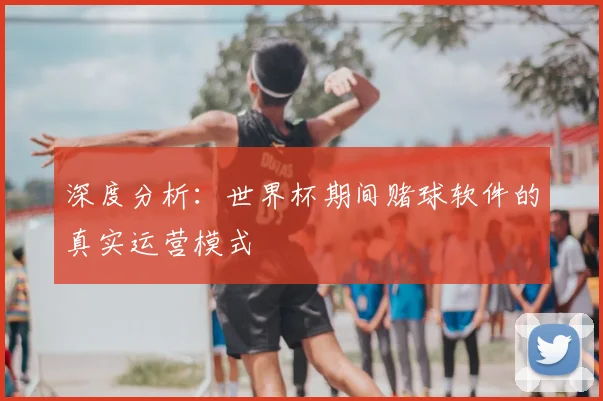 深度分析：世界杯期间赌球软件的真实运营模式