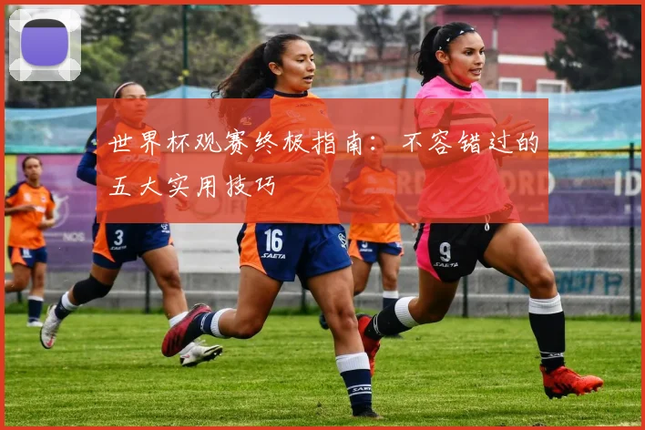 世界杯观赛终极指南:不容错过的五大实用技巧