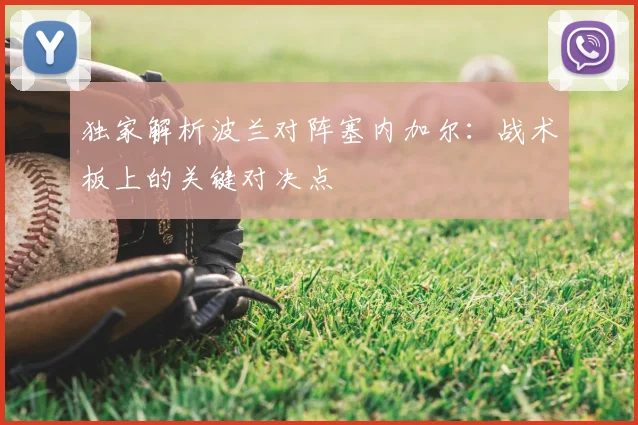 独家解析波兰对阵塞内加尔：战术板上的关键对决点