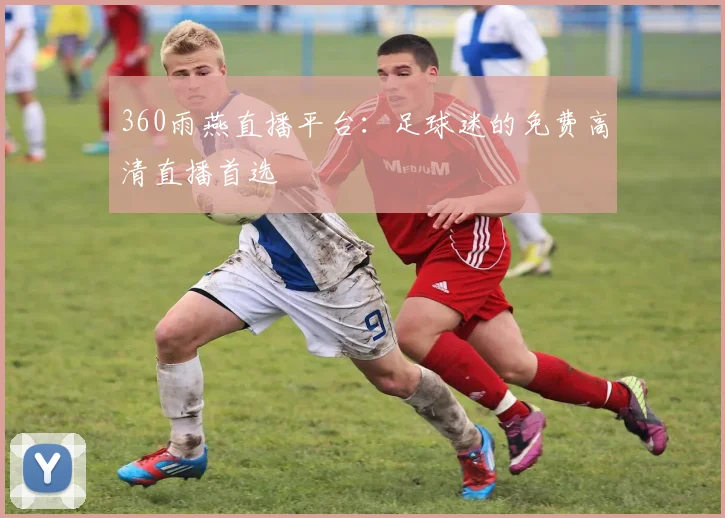 360雨燕直播平台：足球迷的免费高清直播首选