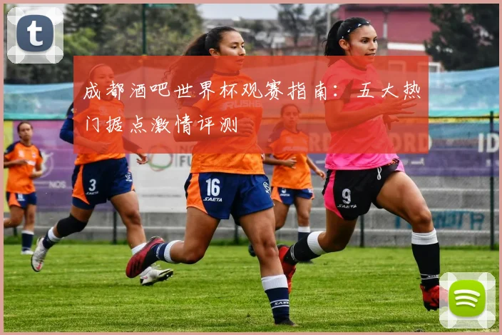 成都酒吧世界杯观赛指南：五大热门据点激情评测